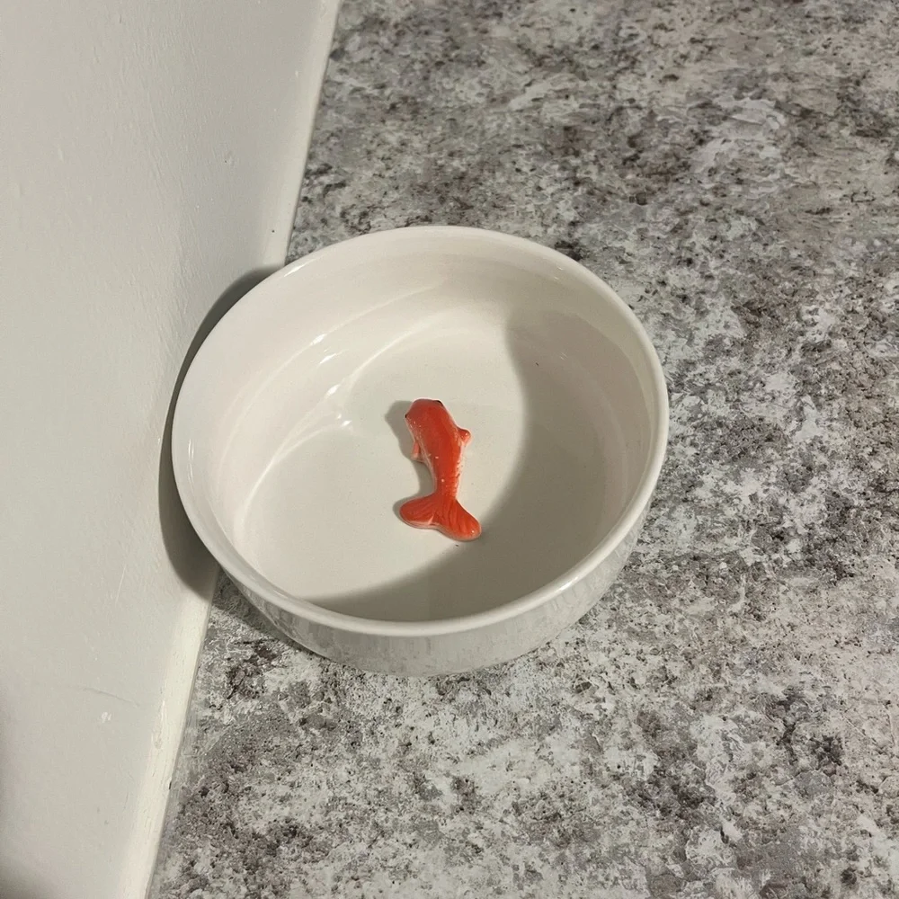 Goldfish Pet Bowl